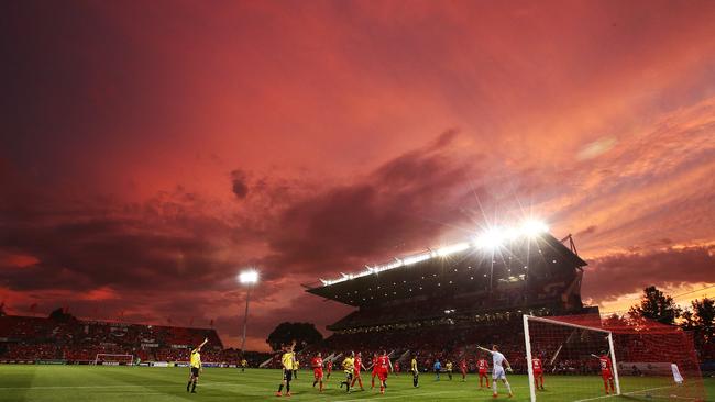 A general view during the round nine A-League match between Adelaide United and the Wellington. (Photo by Morne de Klerk/Getty Images)