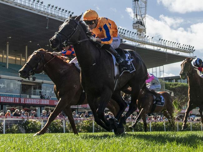 MELBOURNE, AUSTRALIA - MARCH 23: Opie Bosson riding Imperatriz defeats Rhys McLeod riding Johnny Rocker in Race 8, the 3 Point Motors William Reid Stakes, riding during Melbourne Racing at Moonee Valley Racecourse on March 23, 2024 in Melbourne, Australia. (Photo by Vince Caligiuri/Getty Images)