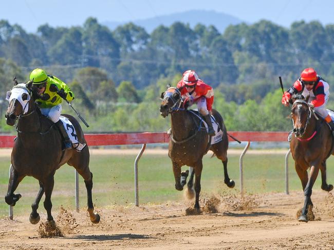 In front of a packed crowd at Ferguson Parks Gladstone Cox Plate Race Day, second place Saltys Boy and winner Need Finance were both under the whip as they head down the straight.