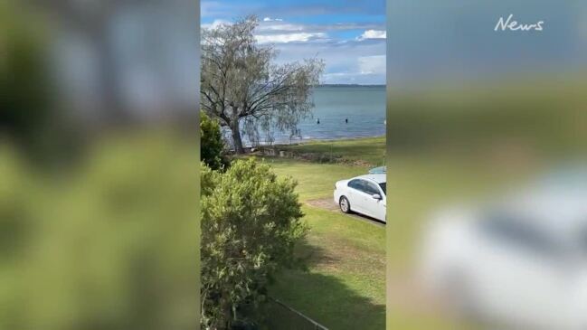 Stolen Merc, bizarre ocean getaway: Teen trio swims from police