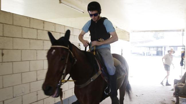 Innisfail trackwork rider Joel Strickland works horses for trainer Greg Strickland. PICTURE: MATT NICHOLLS.