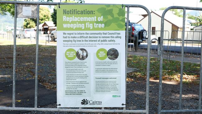 A large weeping fig tree at Freshwater is set to be cut down after 3 different arborists determined that a fungal infection has caused the tree's health to deteriorate. Cairns Regional Council have erected a temporary fence and signage around the tree. Picture: Brendan Radke