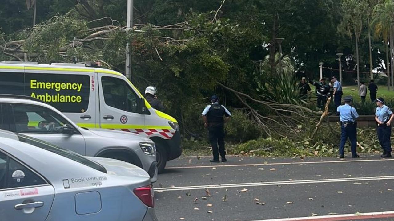 A tree has fallen onto two people at Sydney’s Hyde Park on Elizabeth in the city’s CBD. Emergency Services are at the scene. Picture: Supplied.