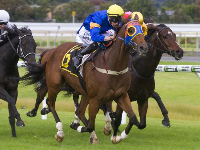 Listed City Of Adelaide Stakes: Riziz, Ken Sweeney, Morphettville ...