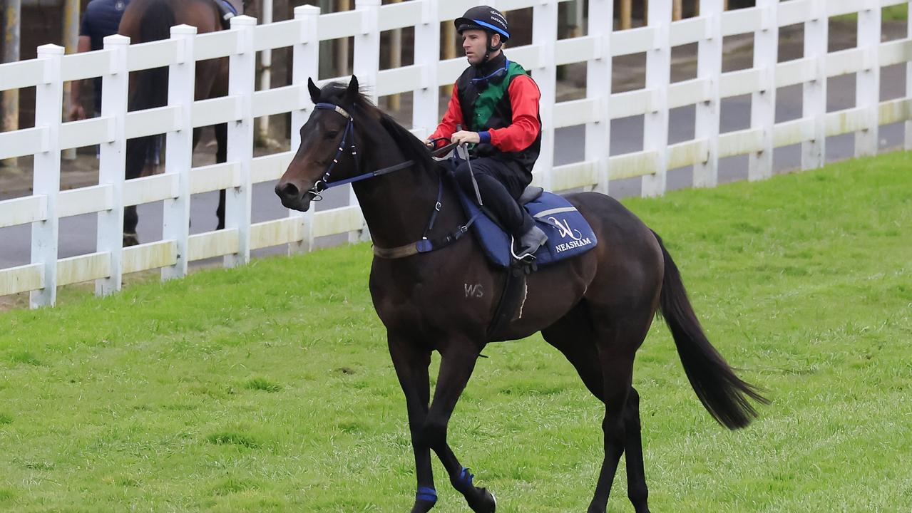 Rosehill Barrier Trials