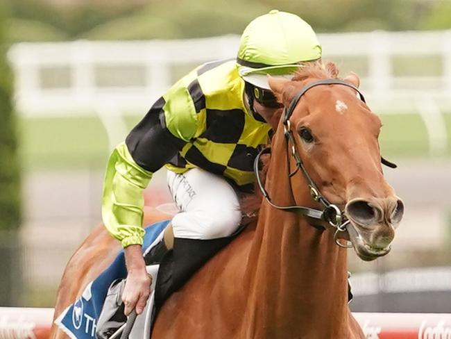 Luna Cat ridden by Luke Nolen wins the Front Runner Membership Handicap at Moonee Valley Racecourse on December 03, 2021 in Moonee Ponds, Australia. (Scott Barbour/Racing Photos via Getty Images)