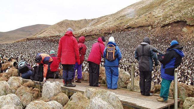 Before: Macquarie Island viewing platform in 2004. Picture: supplied