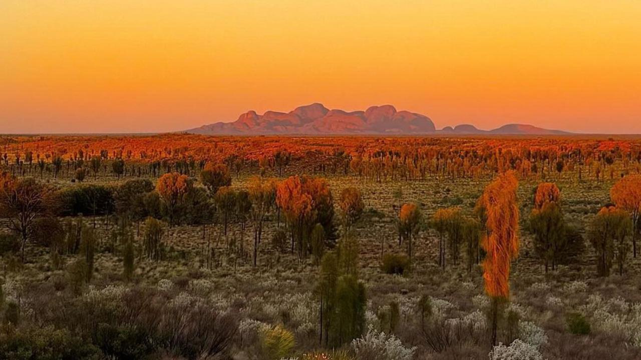 Golden hour at Kata Tjuta National Park by justineeeeb/via IG