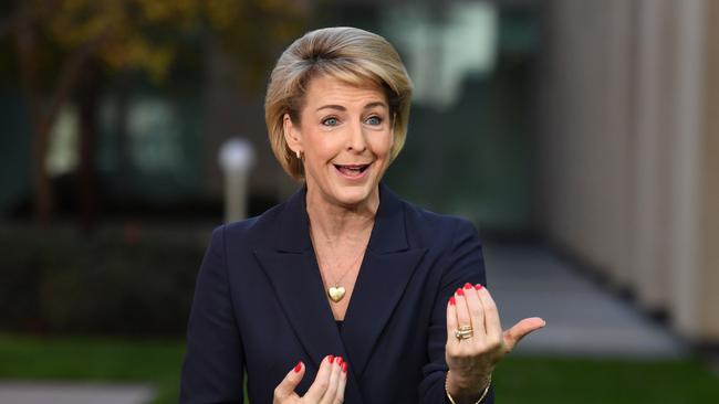 Minister for Employment Michaelia Cash. Picture: AAP