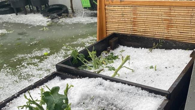 A savage hailstorm left the Toormina community with a with a massive clean-up task.