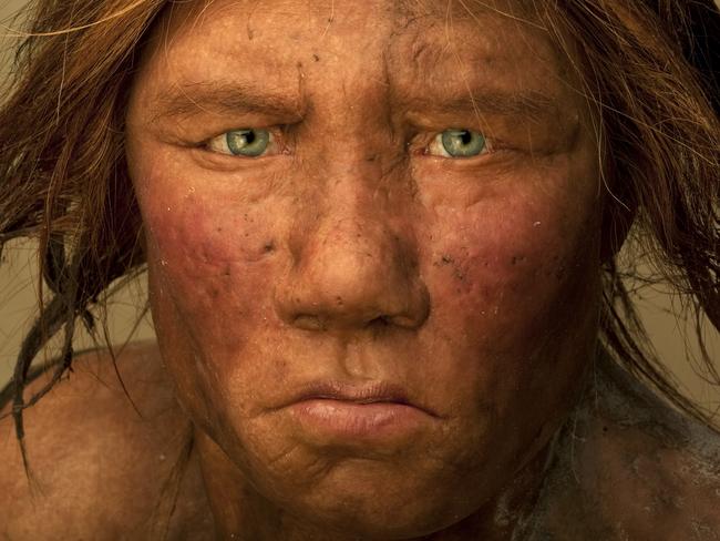 The Neanderthal woman was re-created and built by Dutch artists Andrie and Alfons Kennis. Research including fossil anatomy and a detailed study of DNA is present in the color of the skin and eyes.   (Photo by Joe McNally/Getty Images)