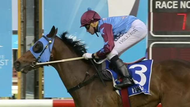 Armet won the Class 1 Handicap (1200m) with jockey Micheal Hellyer at the Gold Coast on Saturday, October 28. Photo: Supplied.