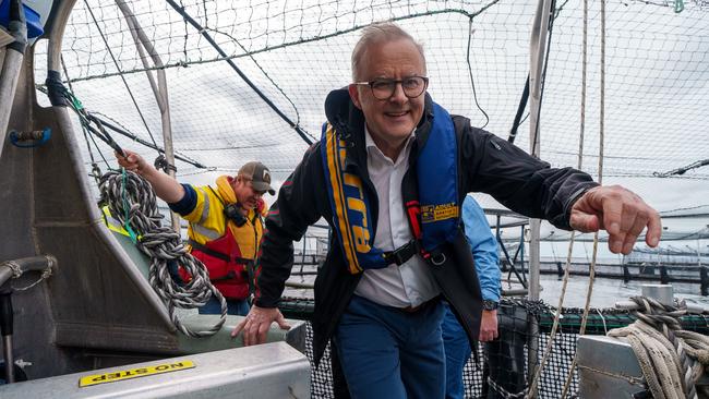 Anthony Albanese visits Tassal salmon pens in Strahan, Tasmania, in December 2024. Picture: NewsWire