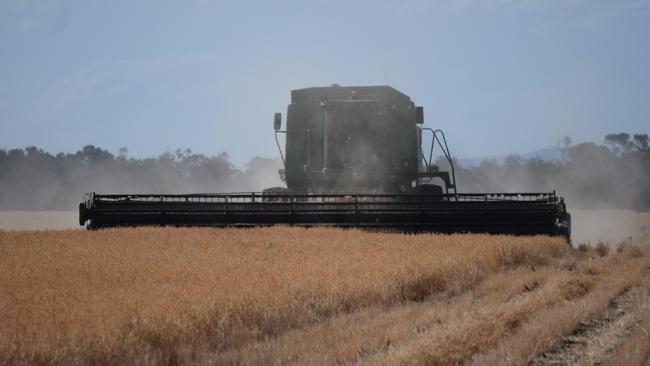 Popular pulses: Chickpeas are in demand in key markets such as Bangladesh and Pakistan for Ramadan.