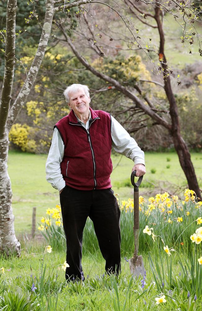 Peter Cundall in his garden at Rosevears. Picture: Chris Kidd