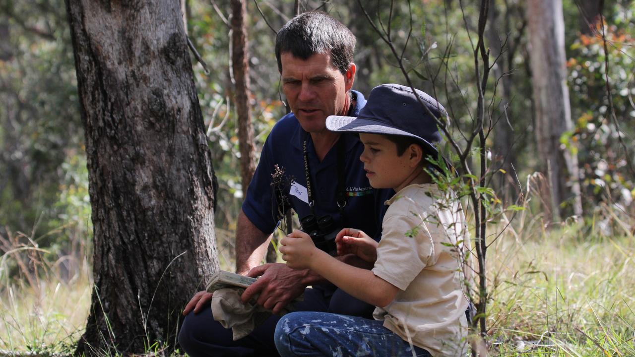 BIG PROJECT: Looking at evidence that the Glossy Black Cockatoos have been feeding on casuarina trees is Friends of Land For Wildlife Toowoomba president Peter Sparshoot and his son James Sparshoot.