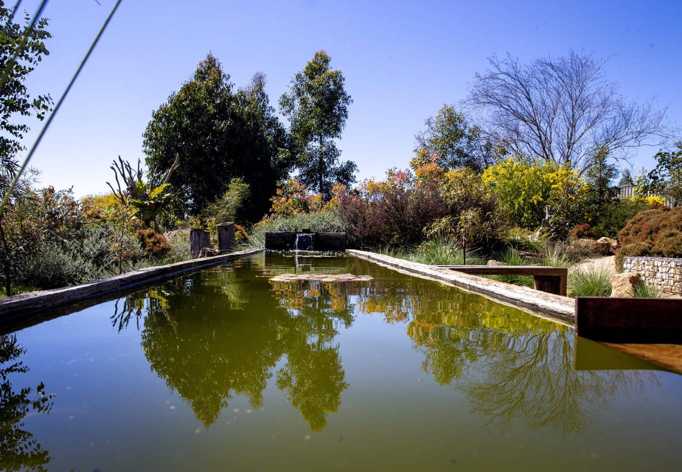 Garden For Good. Richard and Ann-Maree Lindeman. Picture: Sarah Marshall