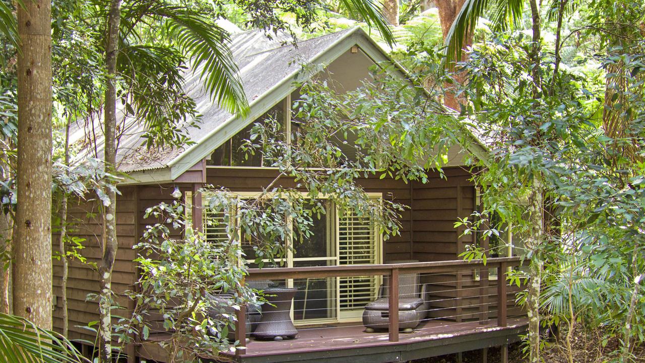 Songbirds Rainforest Retreat at Tamborine Mountain in Gold Coast ...