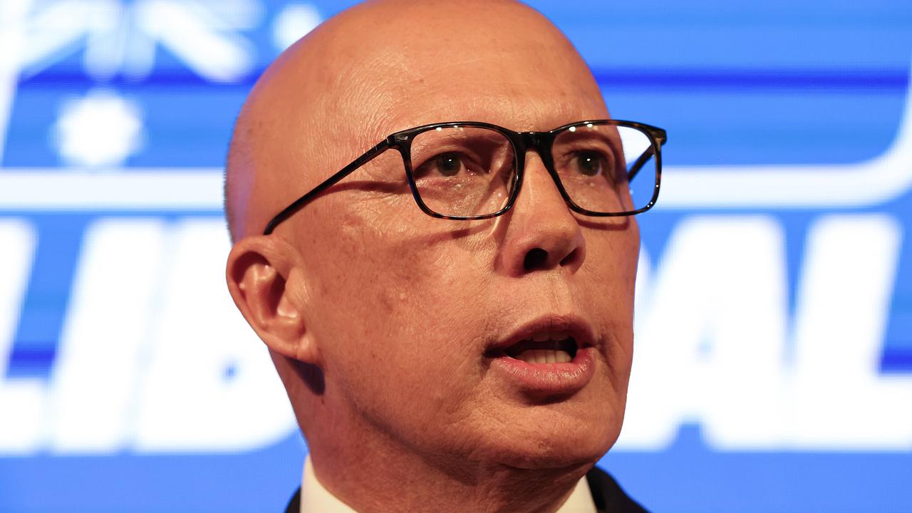 Panahi: Libs need a leader with backbone after woeful campaign