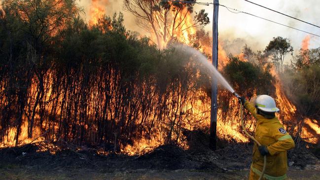 Firefighters fight blaze adjoining Powderworks Road, Ingleside in Sydney in September 2003. Picture: David Miller