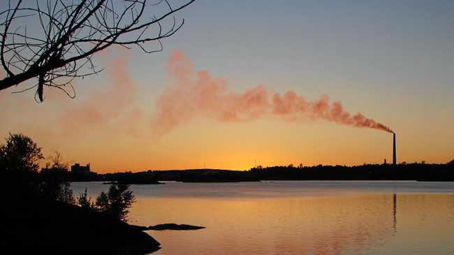 GOING GREEN: Coffs councillors vote to divest in financial companies which fund fossil fuel enterprises. Picture: Contributed