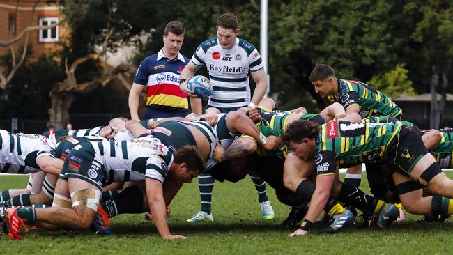 Gordon, who went on to win the 2020 Shute Shield, against Warringah last season. Pic: Karen Watson