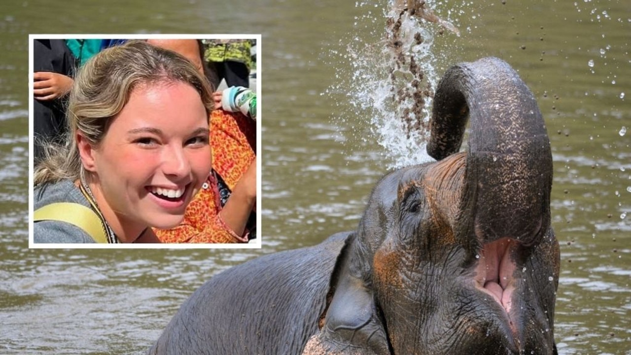 23yo tourist killed by elephant in front of BF