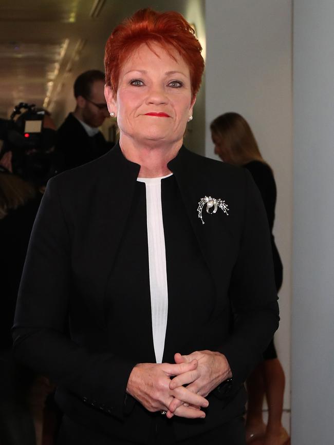 One Nation co-founder Pauline Hanson at Parliament House in Canberra. Picture Kym Smith