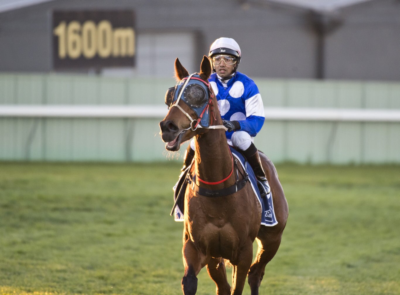 Petite Elle ridden by Girish Goomany wins race 2. Picture: Nev Madsen