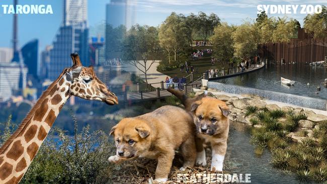 Art for Matt Taylor IV's feature on Sydney zoos: Taronga, Featherdale and Sydney Zoo. Art: Daniel Muprhy