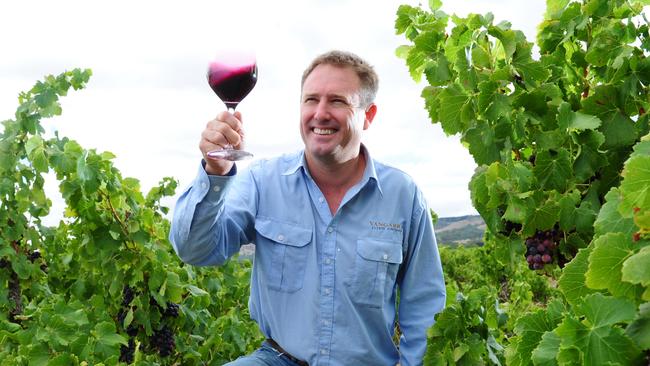 Yangarra Estate winemaker and general manager Peter Fraser among their old grenache vines planted in 1946. Picture: Mark Brake