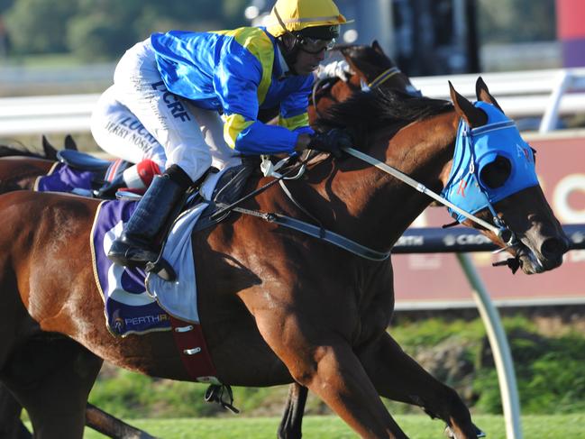 Ascot Races 18.4.2015  race 7  No. 8 First Among Equals ridden by Peter Knuckey wins.