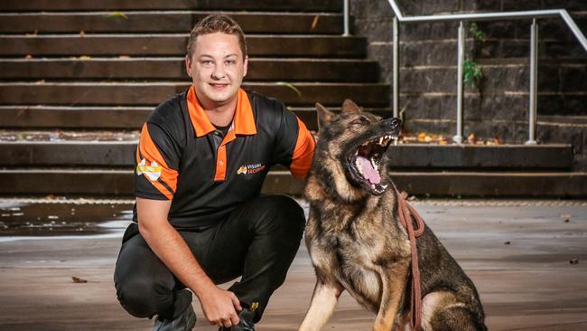 Adam Sikyr with guard dog Jumbo on patrol at the Zuccoli IGA. Picture: Glenn Campbell