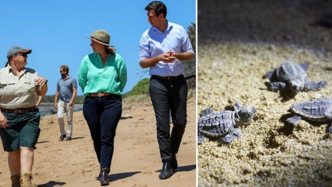 The Qld and federal governments have pledged $2.8m in funding to protect marine turtles from feral animals in Mon Repos.