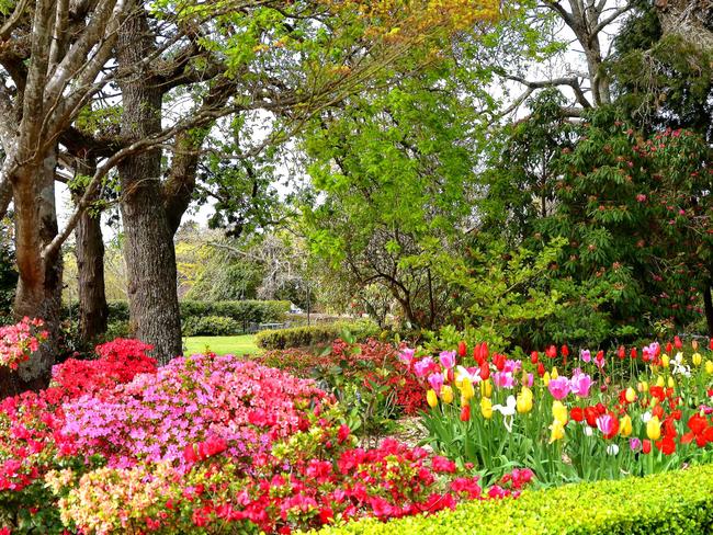 Waldorf Leura Gardens Retreat, Leura gardens Festival, Blue Mountains For Open Garden Oct 3 Image supplied