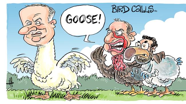 Cartoonist Harry Bruce's take on name-calling in Mackay between the country's top leaders this week.