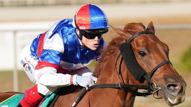 Craig Williams has five rides at Geelong on Wednesday, including value selection Joltin’ Joe. Picture: Scott Barbour/Racing Photos via Getty Images