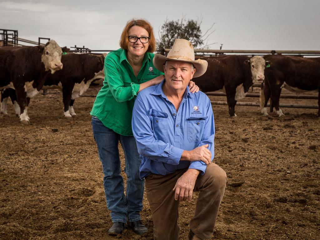 Jackie and Tony Williams with some of their bulls at Mount Barry Station, Coober Pedy. Picture: Matt Turner.