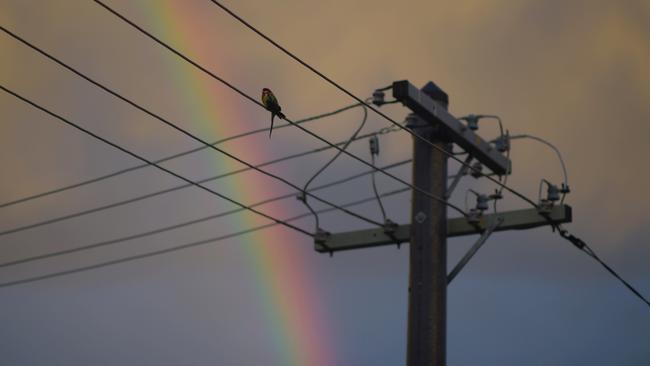 South Australia could face power shortages as temperatures soar. Picture: AAP Image/Lukas Coch