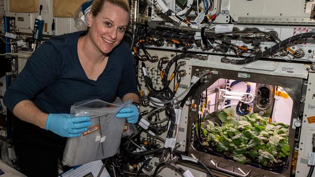 NASA joins with USQ to explore growing food on Mars