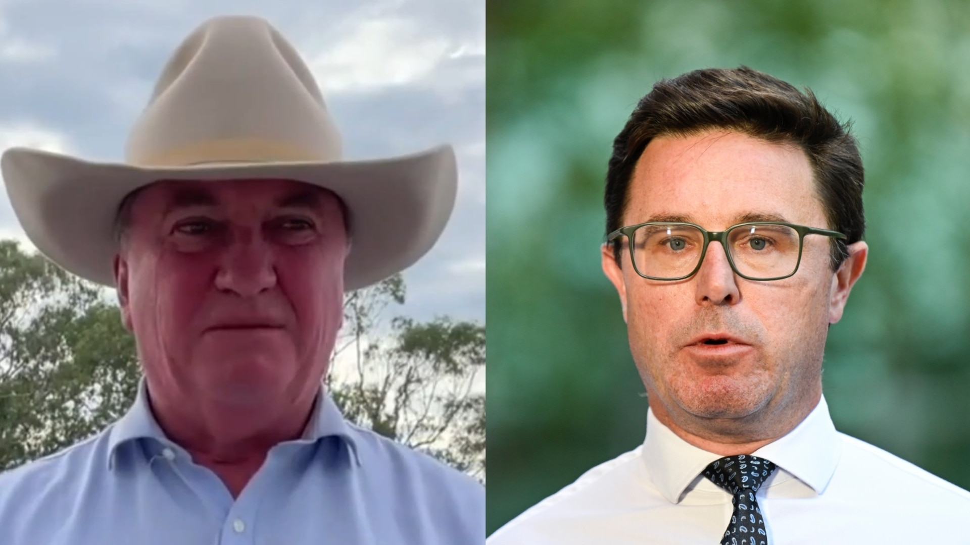 ‘Bump in the road’: David Littleproud and Barnaby Joyce split on Nationals’ net zero ambitions