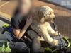 ‘Bought this off Temu’: Why woman copped hefty fine despite harness