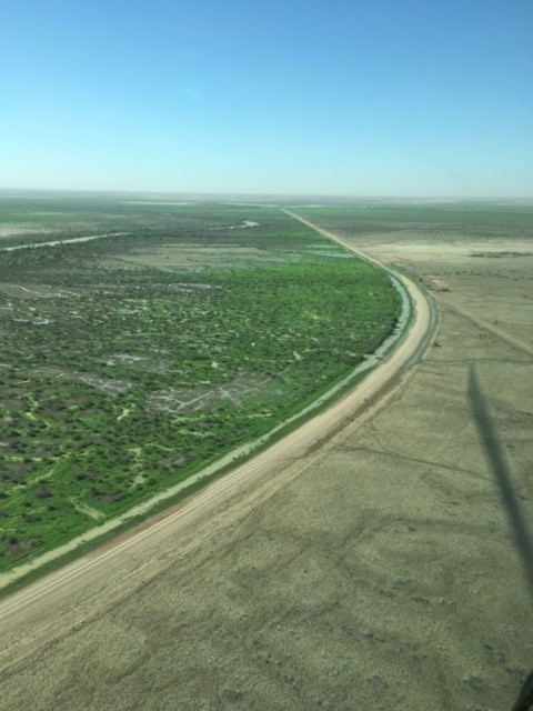 Queensland Channel Country. Picture: David Brook