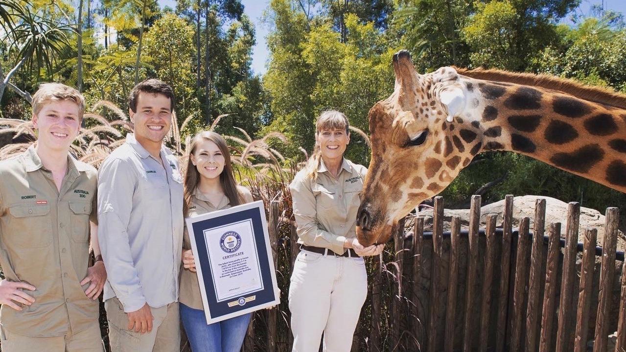 World's tallest giraffe in captivity 'Forest' bends down for a photo with famous zookeepers the Irwin family. Picture: Guinness World Records