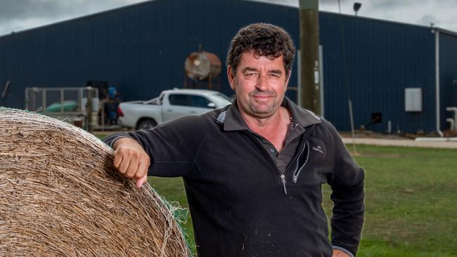 Circular Head Farms director Stephen Fisher at Redpa. Picture: Phillip Biggs