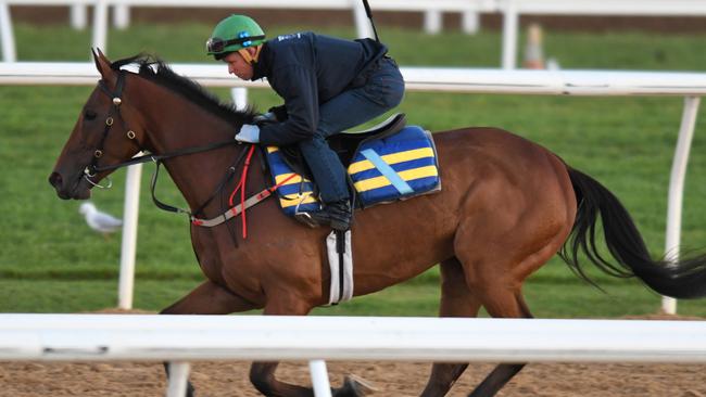 Bonneval has had a slight setback heading into the Caulfield Cup. Picture: Getty Images