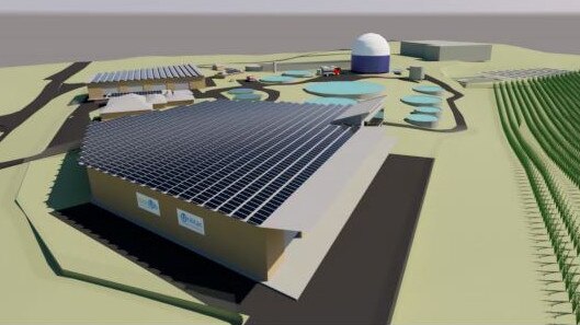 GREEN OUTLOOK: 3D Concept of fully developed Bundaberg bioHub site (subject to planning and approvals).