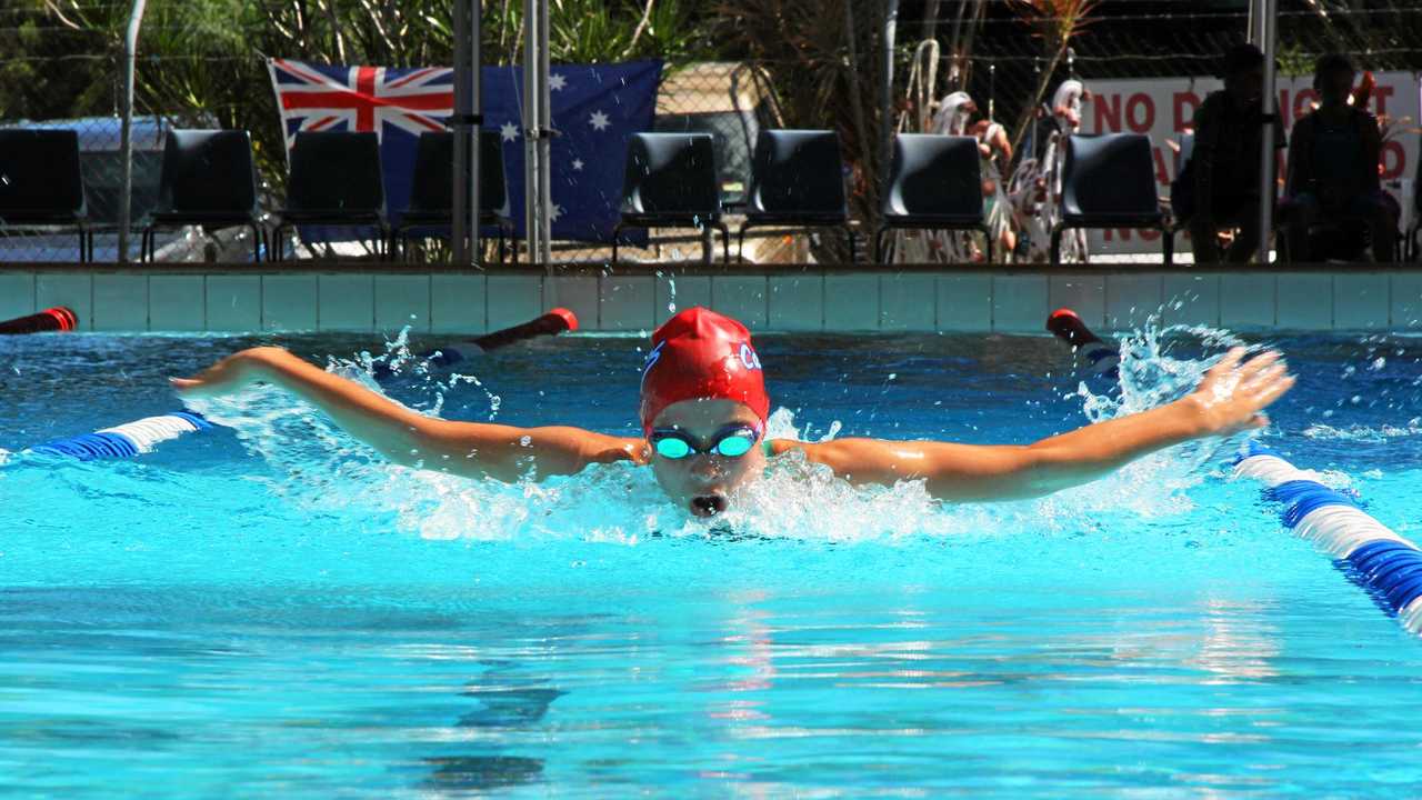 Cannons fire at swim meet | The Courier Mail