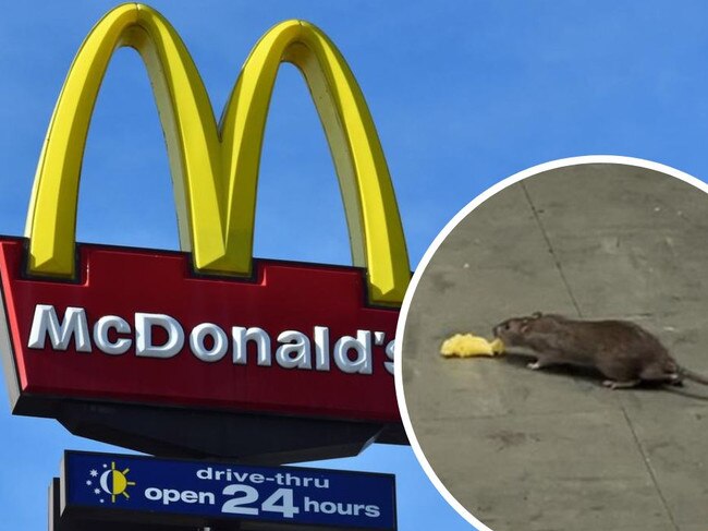 McScurry! Rats seen 'almost daily' at notorious Macca's