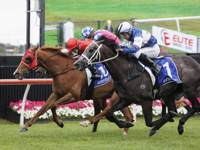 The Guru (inside) wins at Kembla on The Gong day.